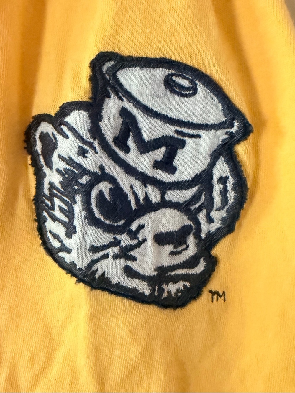 Michigan Wolverines Men’s Large T-Shirt College Football Basketball NCAA - Picture 3 of 5
